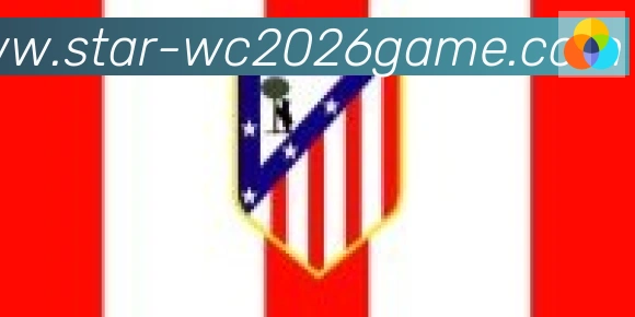 世界杯足球赛事合作伙伴